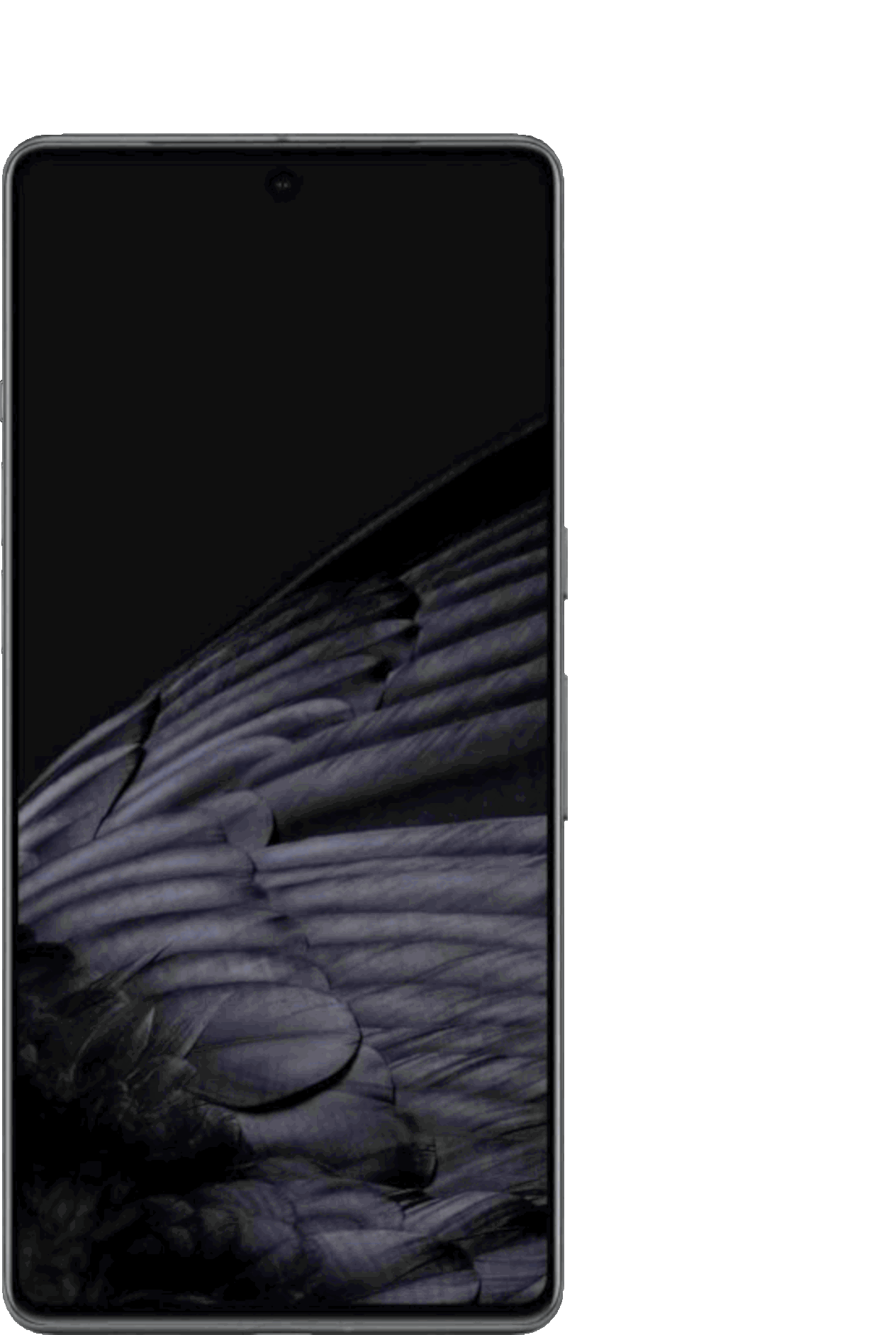 Degoogled Pixel 7 Pro running GrapheneOS