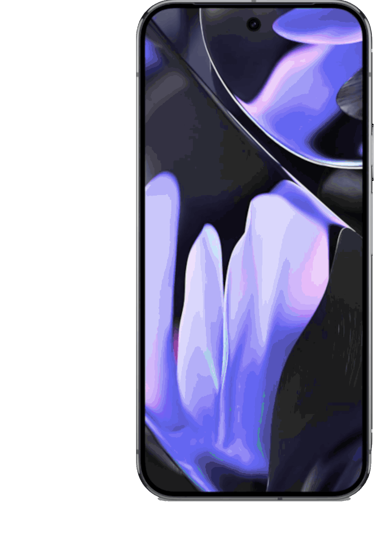 Degoogled Pixel 9 Pro running GrapheneOS